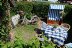 'Terrasse mit Hecke umsumt'