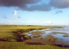 Der Westerhever Leuchtturm