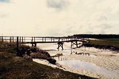 Blick Richtung Wattenmeer