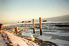 Winterzeit im nordfriesischen Wattenmeer