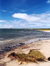 Der Blick auf das Meer
